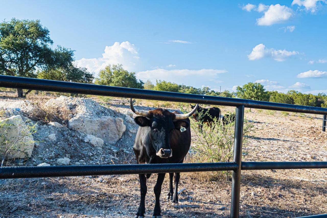 Gruene Daze Chalet - Stylish Aframe - Escape The Ordinary New Braunfels Exteriér fotografie